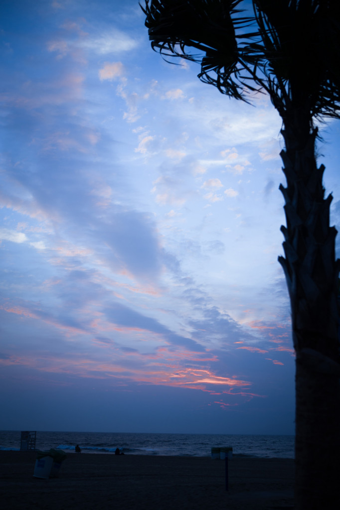 Virginia-Beach-Palm-Tree-Sunrise