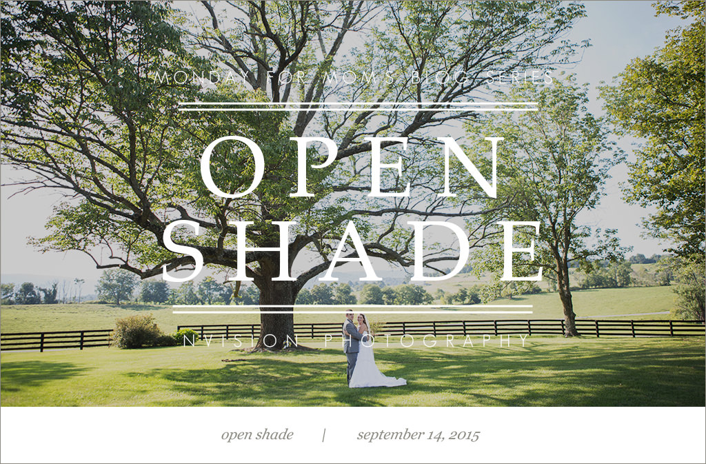 Charlottesville Harrisonburg Virginia Wedding Photographer Why to Shoot in Open Shade