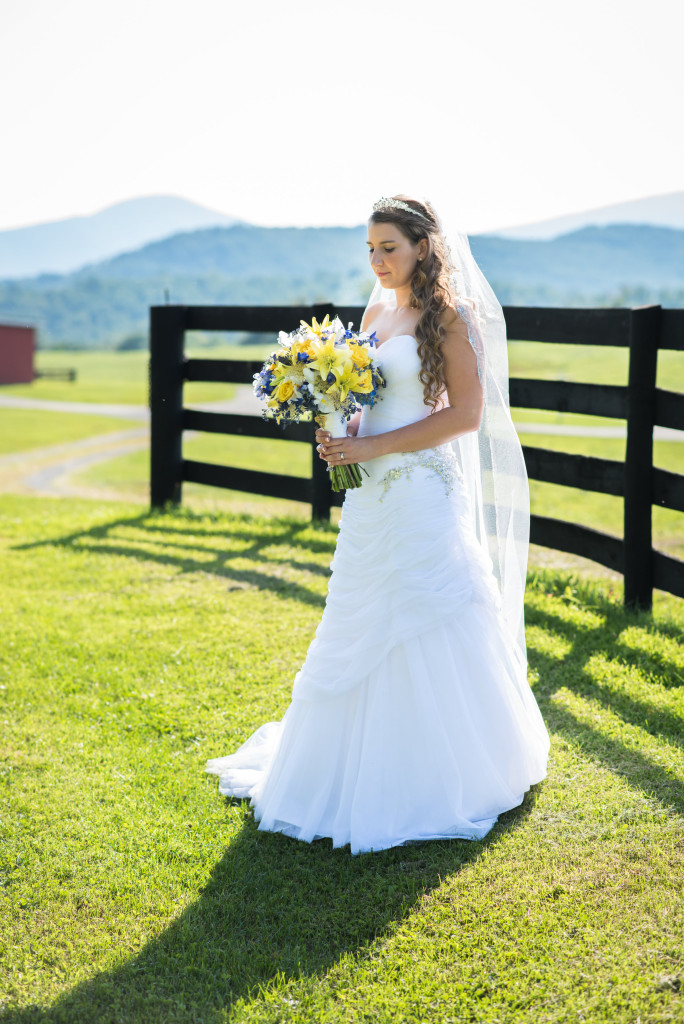 View More: http://nvisionphotography.pass.us/pettywedding2014