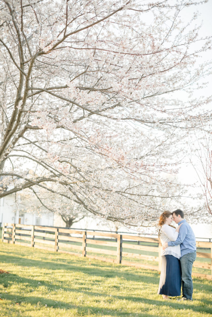 Red August Farm Engagement Photographer